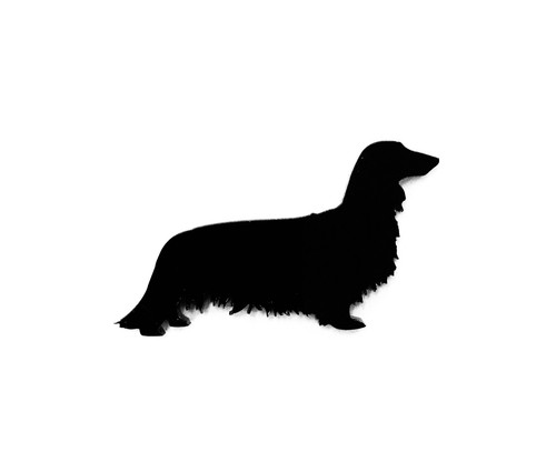 Dachshund long coat dog - dachshund,