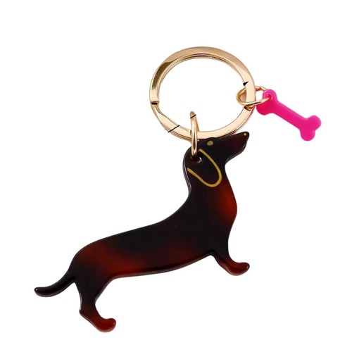 Generic dachshund dog - generic,