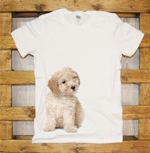 J335 dog bichon - j335, jersey,