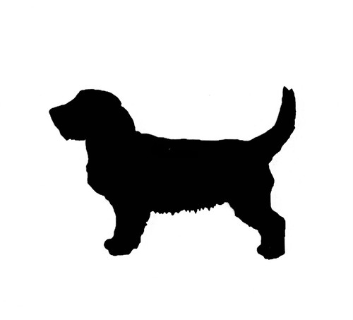 Basset fauve bretagne dog - de,