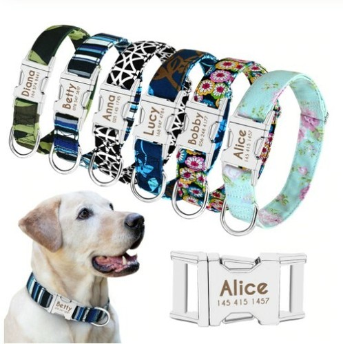 Custom dog or - or, name