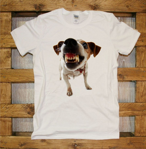 J355 jack russel love dog - j355, my