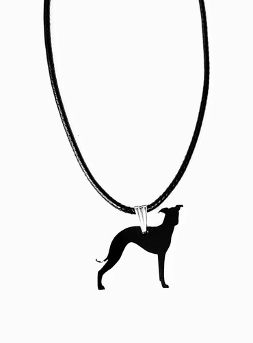 Greyhound italian black - italian,