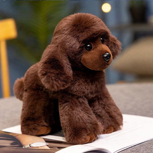 Peluche cane barboncino - cane,