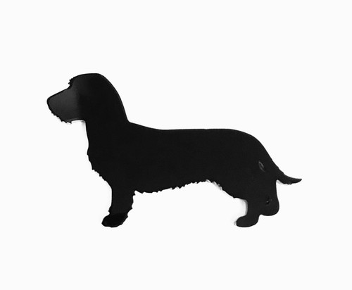 Raw dachshund dog coat - dachshund,