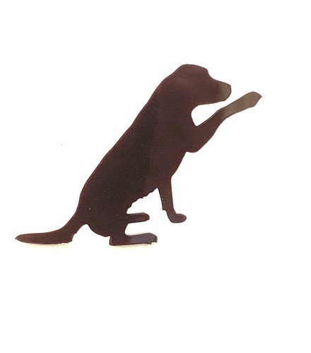 Labrador dog with - dog,