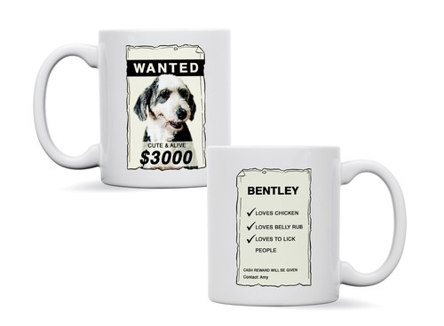 Custom ceramic pet - custom,