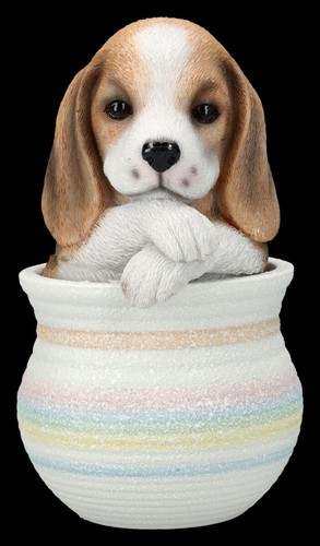 Cani figura beagle in - figura,
