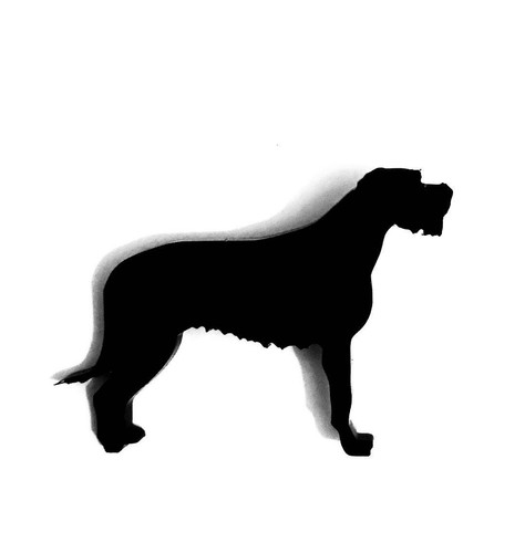Irish wolf hound dog - hound, brooch