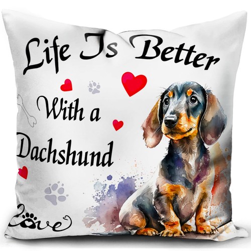 Dachshund dog pillowcases sofa - dog,
