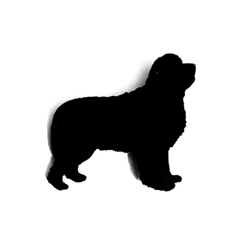 Newfoundland dog brooch - newfoundland,