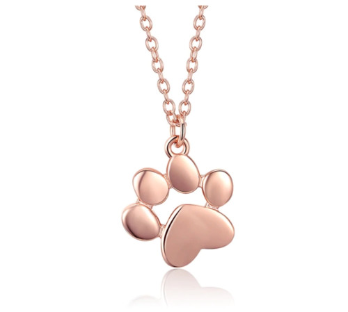 Women paw dog - paw,