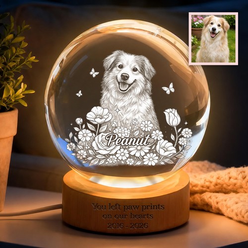 Dog memorial night - memorial,